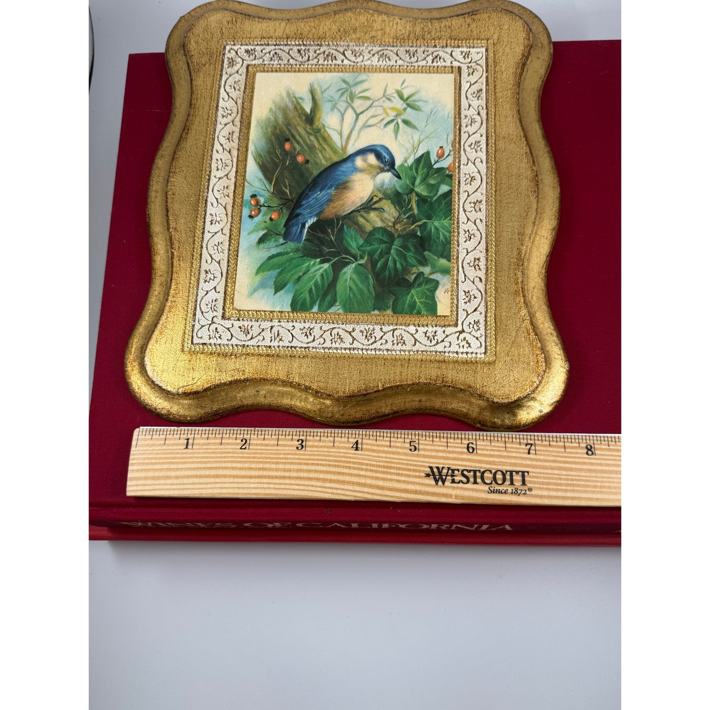 Vintage Italian Gilded Wood Plaque – Bluebird Painting – Made in Italy